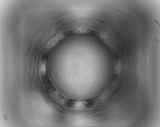 X0000100920334200807011312