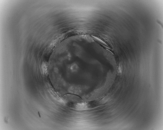 X0000100920335200807011312