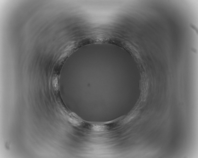 X0000100920336200807011312