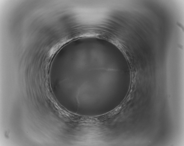 X0000100920337200807011311