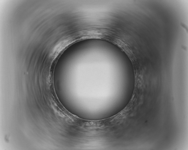 X0000100920338200807011311