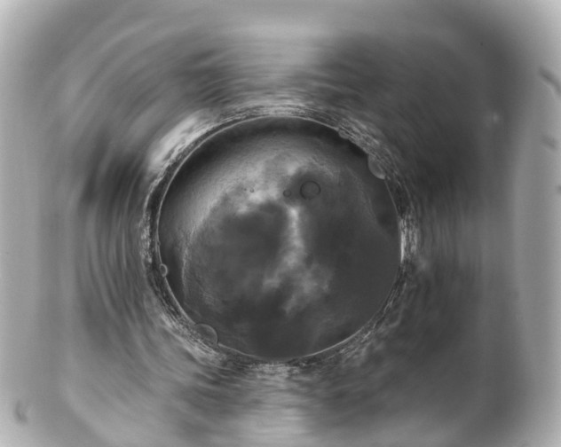 X0000100920339200807011311