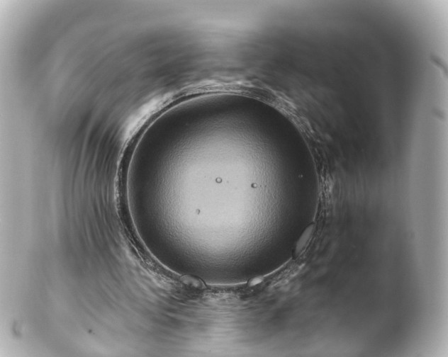 X0000100920340200807011311