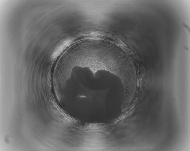 X0000100920341200807011311