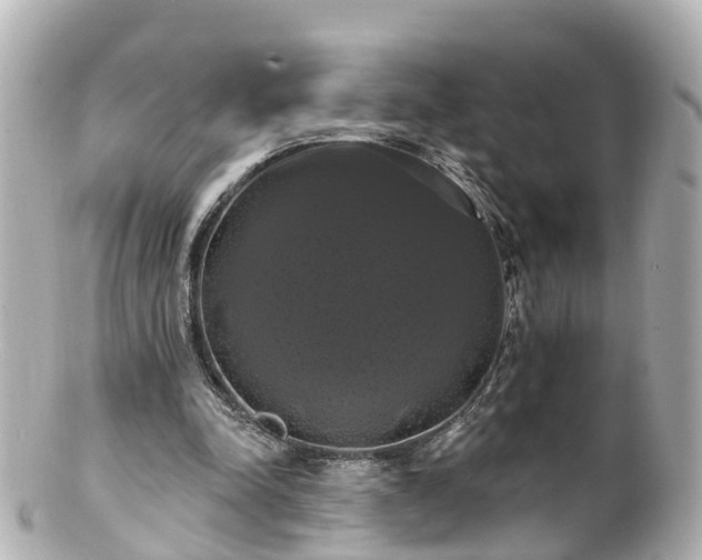 X0000100920342200807011311