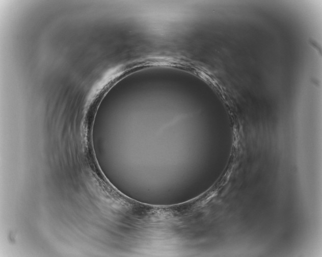 X0000100920343200807011311