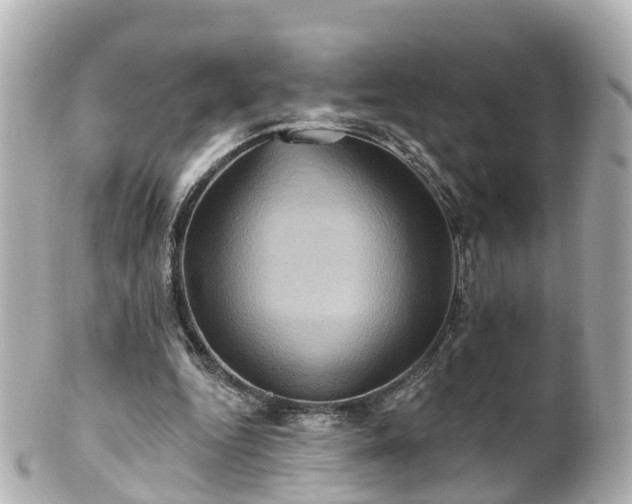 X0000100920344200807011311