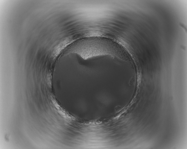 X0000100920345200807011311