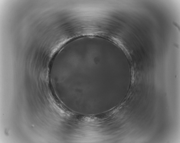 X0000100920346200807011311