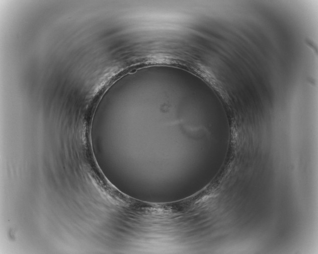 X0000100920347200807011311