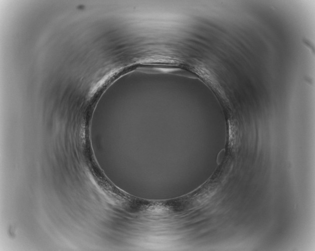 X0000100920348200807011311