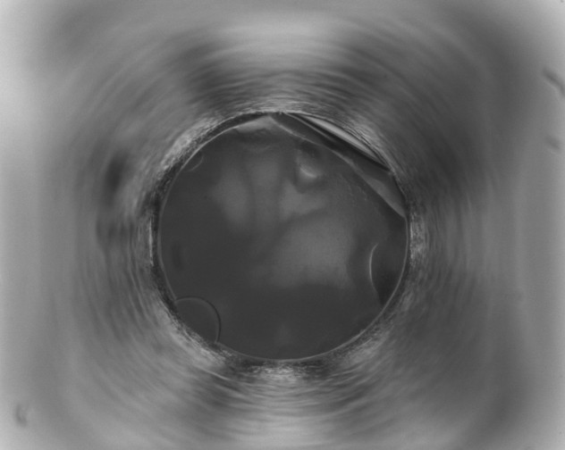 X0000100920349200807011311