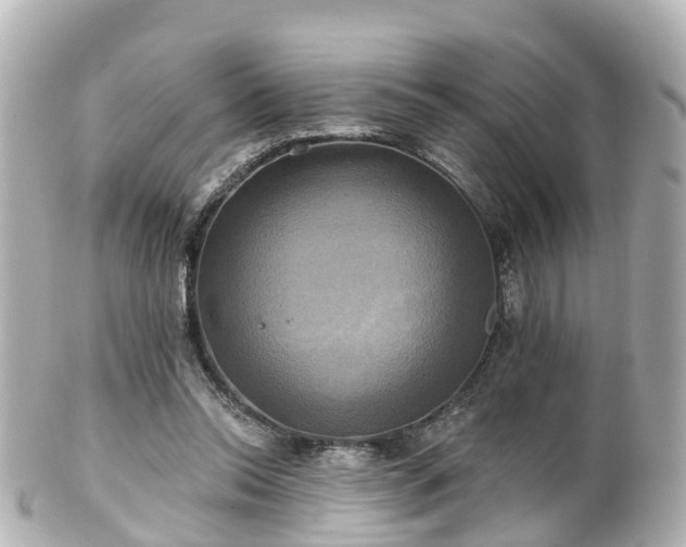 X0000100920350200807011311