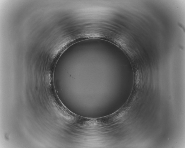 X0000100920351200807011311