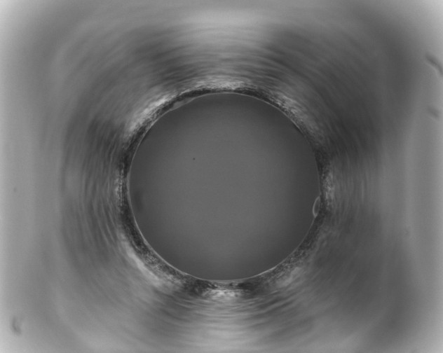 X0000100920352200807011311