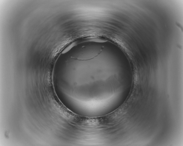 X0000100920353200807011312