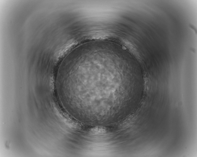 X0000100920354200807011312