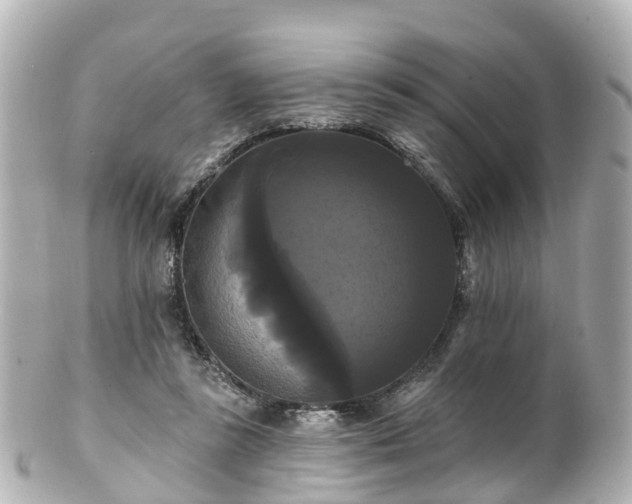 X0000100920355200807011312