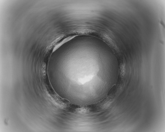 X0000100920356200807011312