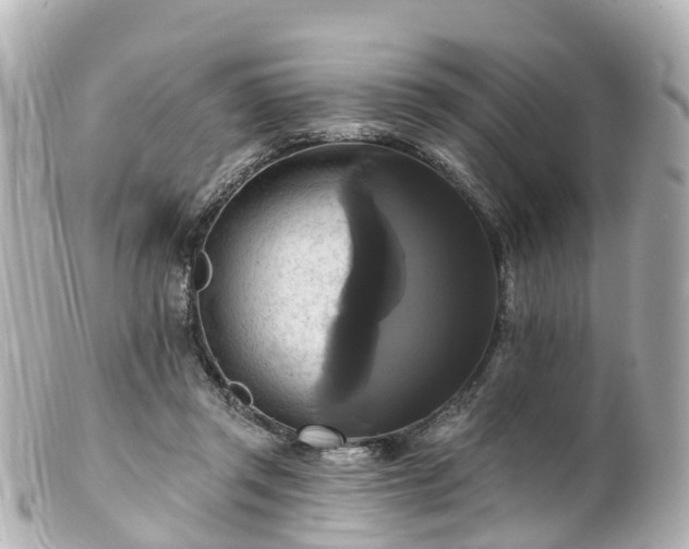 X0000100920357200807011312