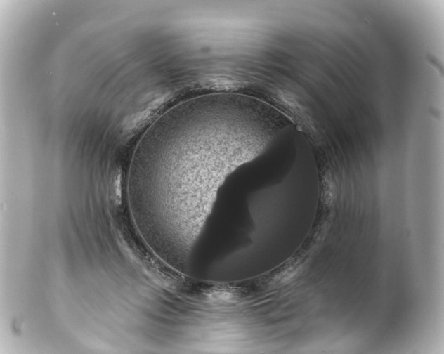 X0000100920358200807011312