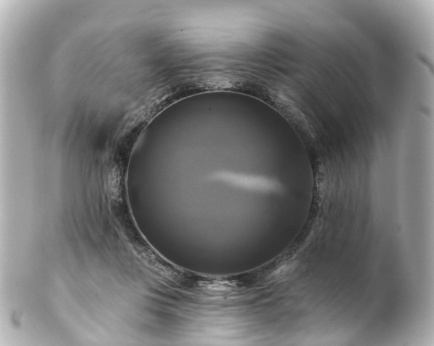 X0000100920359200807011312