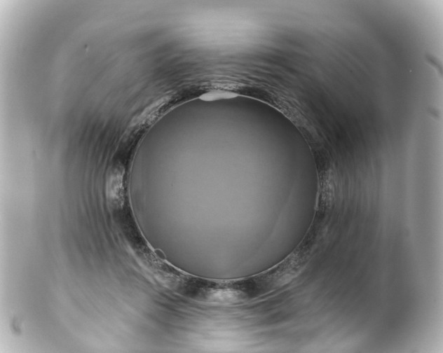 X0000100920360200807011312