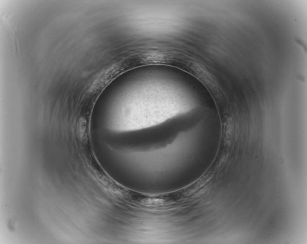 X0000100920361200807011312