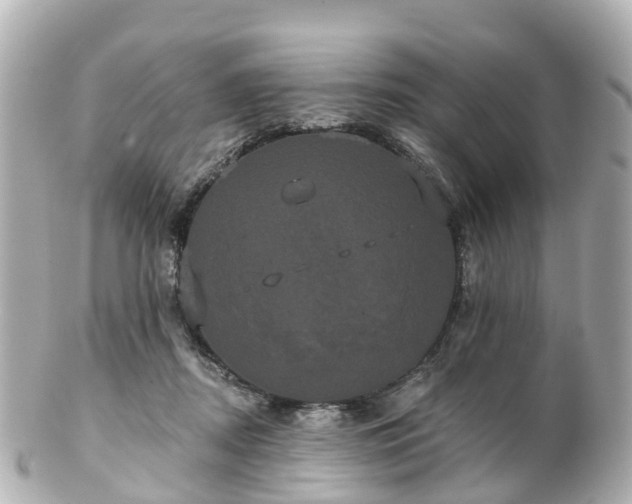 X0000100920362200807011312