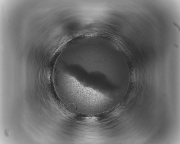 X0000100920363200807011312