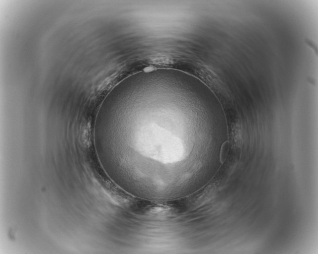 X0000100920364200807011312