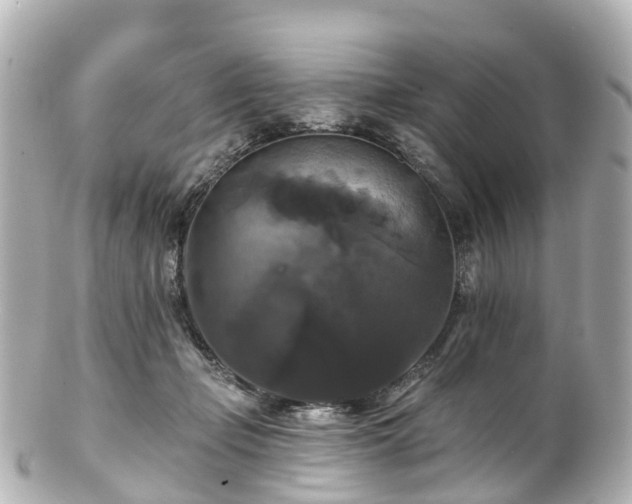 X0000100920365200807011312