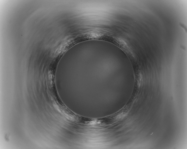 X0000100920366200807011312