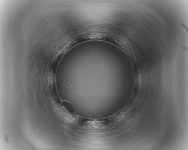 X0000100920367200807011312