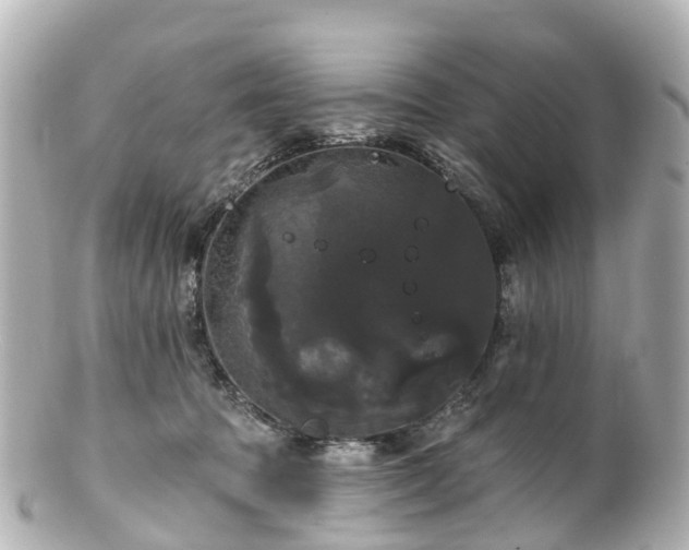 X0000100920369200807011312