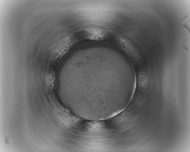 X0000100920370200807011312