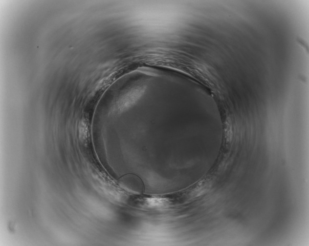 X0000100920371200807011312