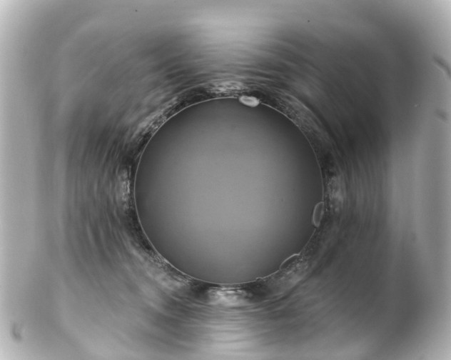 X0000100920372200807011312