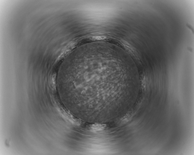 X0000100920373200807011312