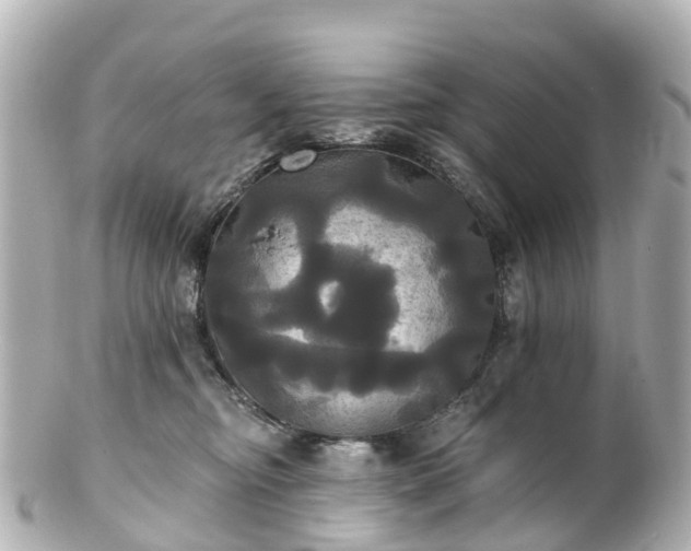 X0000100920374200807011312