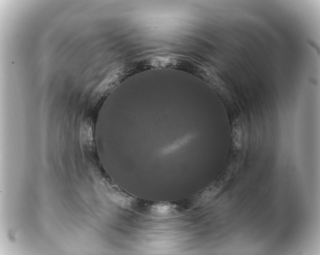 X0000100920375200807011312