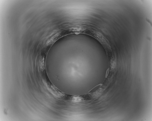 X0000100920376200807011312