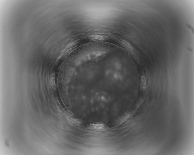 X0000100920377200807011312