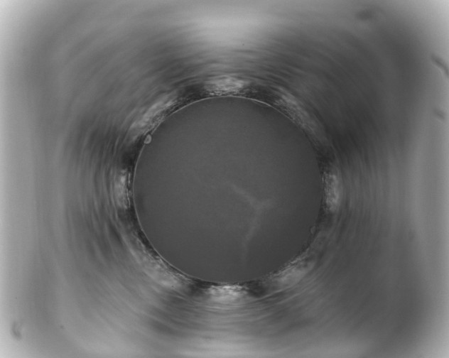 X0000100920378200807011312