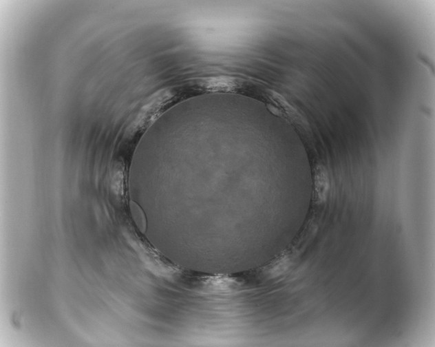 X0000100920379200807011312