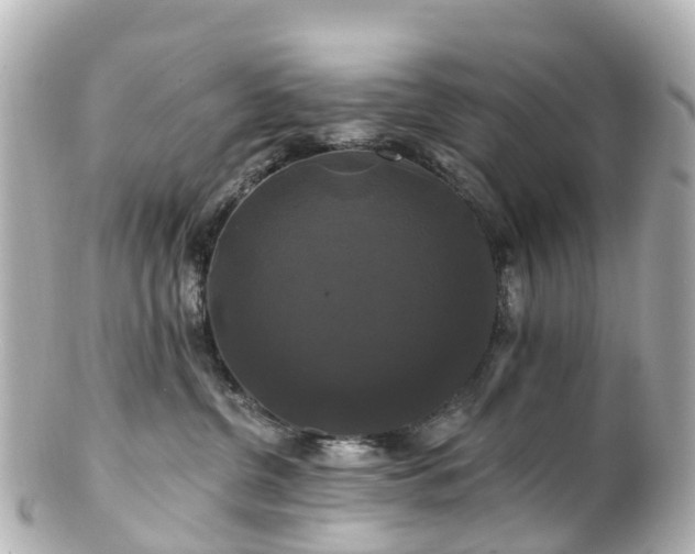 X0000100920380200807011312