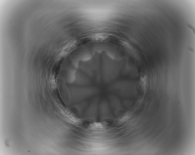 X0000100920381200807011312