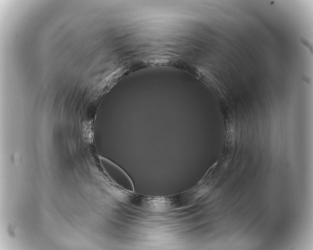 X0000100920383200807011312