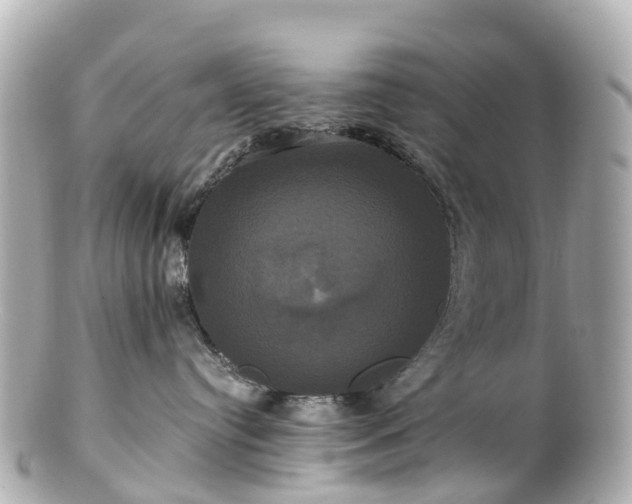 X0000100920384200807011312