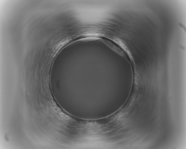 X0000100920385200807011311